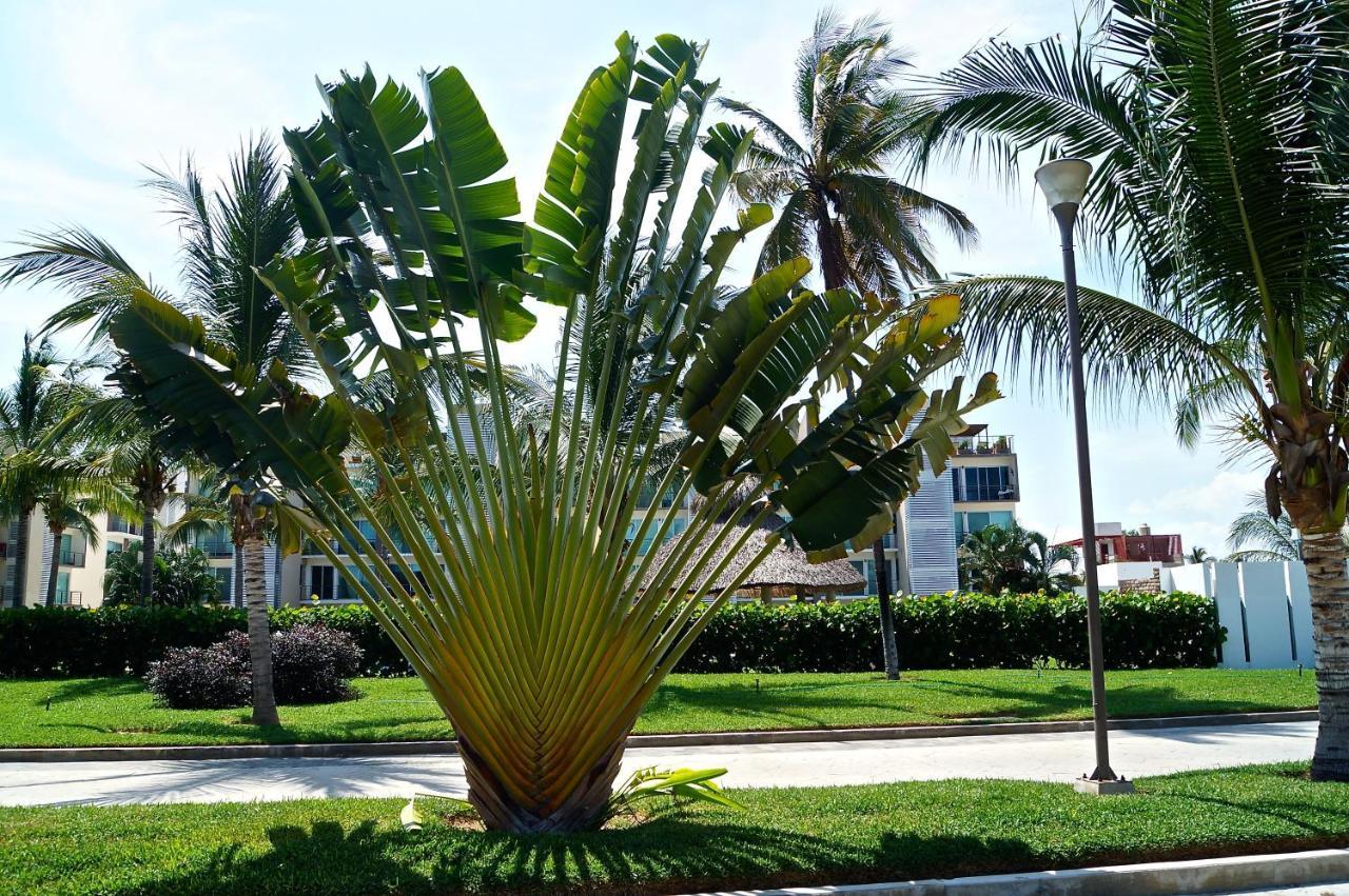 شقة Penthouse Con Jacuzzi En Acapulco Diamante المظهر الخارجي الصورة